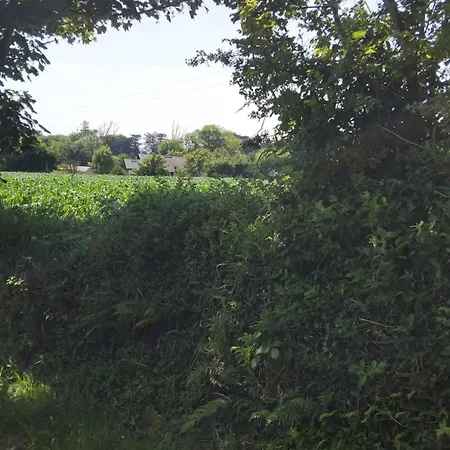 Guest house Kilnew 5 Min From The Blackwater